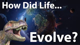 Evolution Of Life On Planet Earth