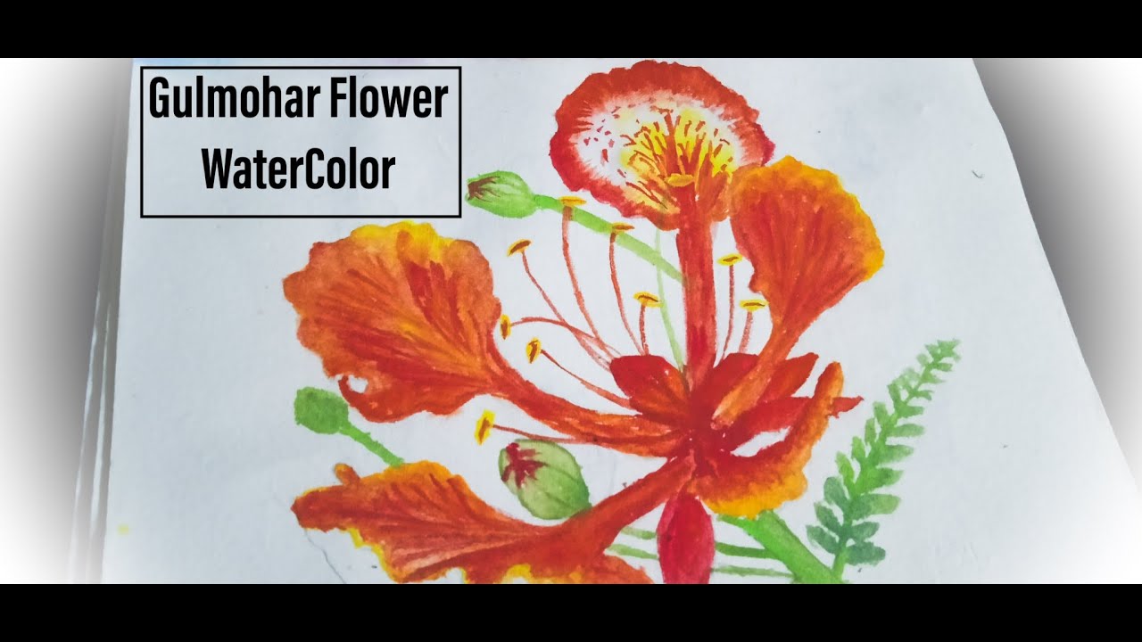 Gulmohar Royal Ponciana watercolour painting | Floral watercolor paintings,  Flower art painting, Nature art painting