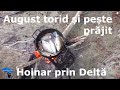 Hoinar prin Deltă. August torid și pește prăjit!