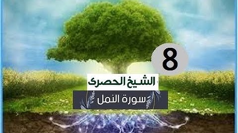 ‏المصحف المعلم الشيخ الحصري  سورة النمل الجزءالعشرون الوجه3
