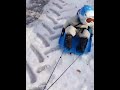 Baby sledding