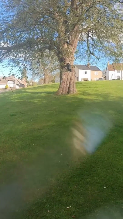 Notorious tree flip #arrma #notorious #tree #flip #scmodels