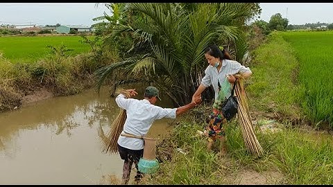 Bữa nay Vợ mình trải nghiệm cùng với hai cha con / Cắm câu cá lóc