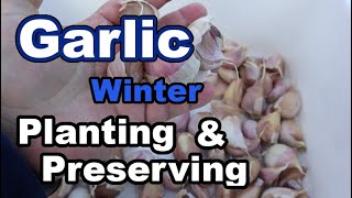 How to Freeze Garlic – Eat, Little Bird