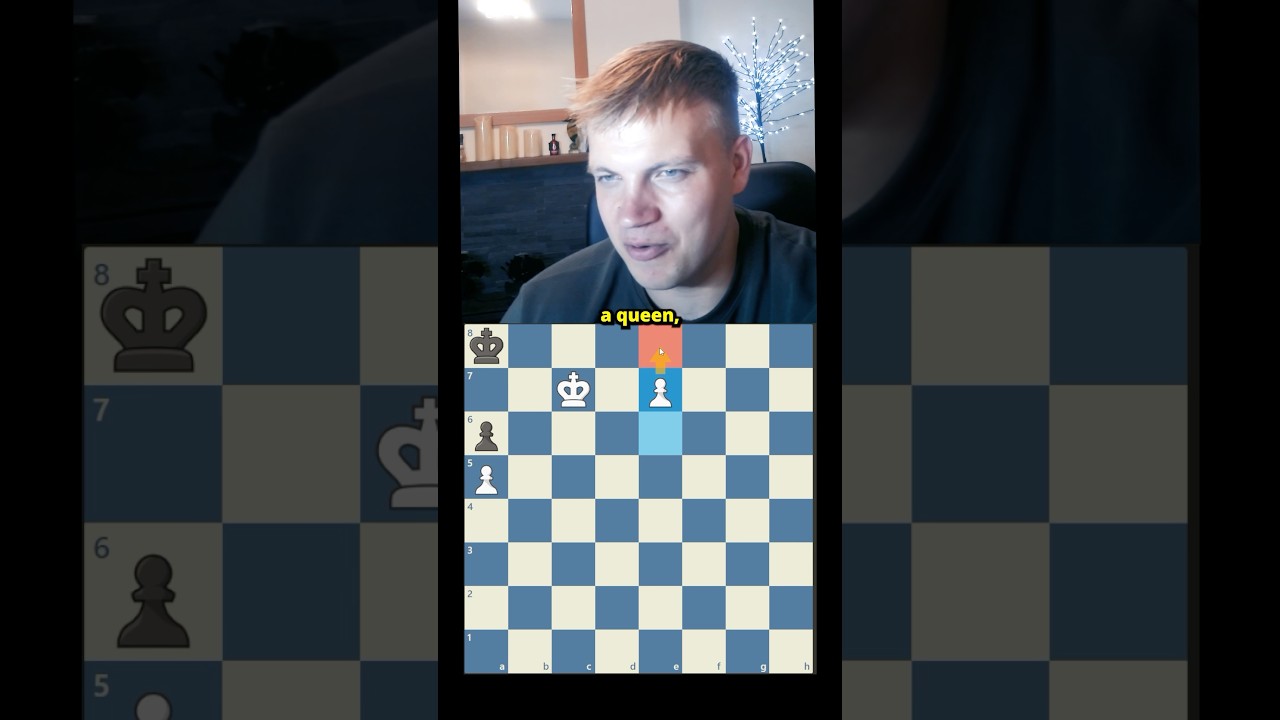 chess gets solved after 900 years 