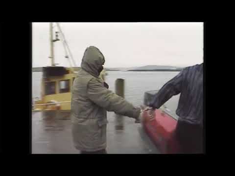 Martin Cahill Is Sent To Spike Island