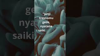 kata kata bijak bahasa jawa #shortsfeed #shortsvideoviral #didikempot