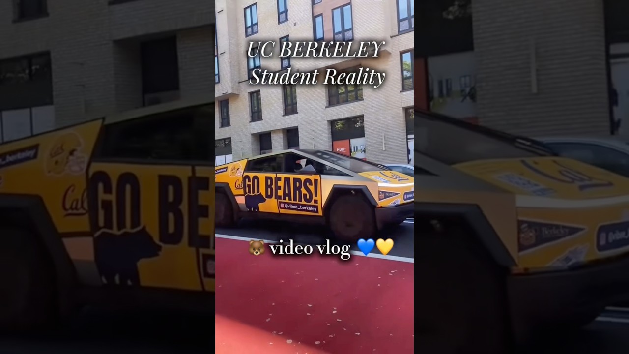 You’re a UC Berkeley 🐻😂student surviving one day at a time 