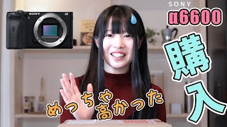【念願】SONYα6600を購入！開封＆レビューAF比較編　SIGMAのレンズを付けて比較してみました！