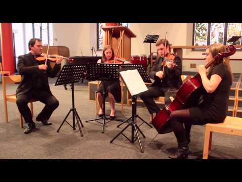 One Day Like This - Elbow - performed by Northern String Quartet