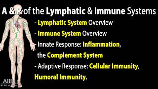 Anatomy & Physiology of the Lymphatic & Immune Systems, Animation. See Description for Chapters.