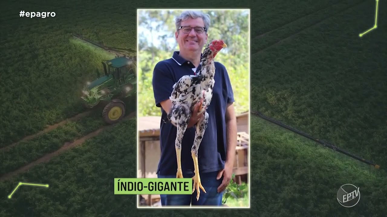 Mário Salviato: Uma Jornada de Paixão pelas Aves e a Fundação do Instituto AviS"