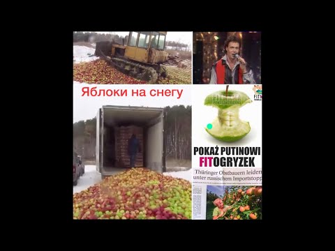 ЯБЛОКИ НА СНЕГУ🍏RUSSIA EMBARGO САНКЦИИ🍎МУРОМОВ