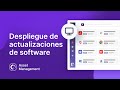 Despliegue de software: Cómo implementar actualizaciones de software en batches