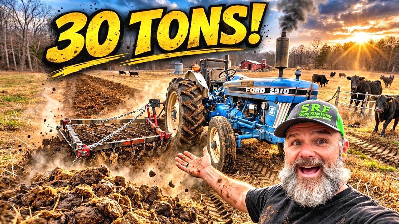 30 TONS of MANURE in 20 MINUTES! Vintage Farm Tractor WORKING the Fields!