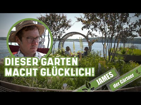 Video: Ich Meine Und Das Königliche Hochzeitssegment