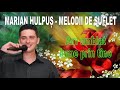 Marian Hulpus - Colaj Melodii de Suflet
