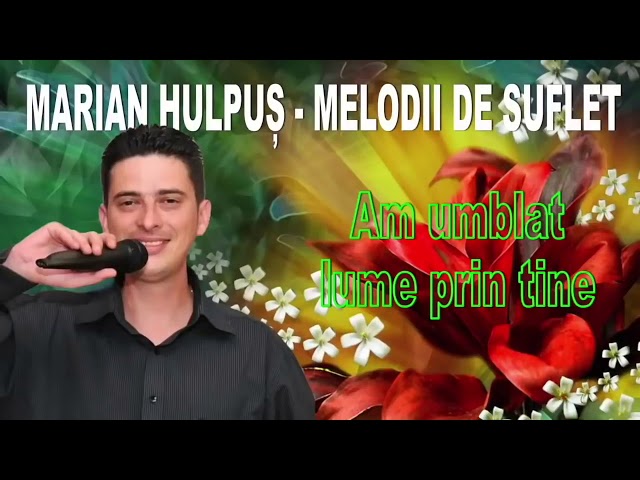 Marian Hulpus - Colaj Melodii de Suflet class=
