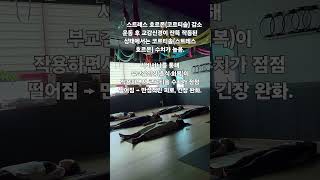 #스트레스호르몬감소 #코르티솔감소 #세로토닌 #도파민 #엔도르핀 #옥시토신#행복호르몬 #휴식과회복 #스트레스해소 #마음의평화 #화학적인휴식#뇌와호르몬 #마음과몸의연결