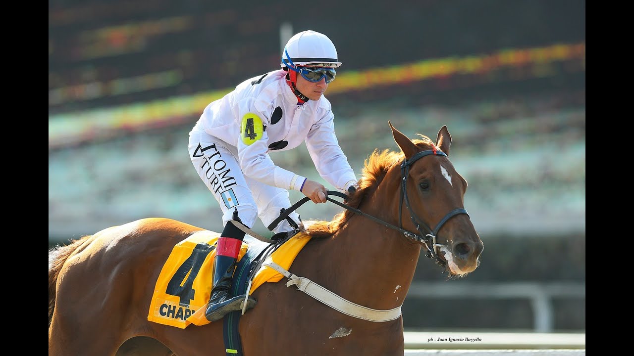 Gran Premio Estrellas Juvenile Fillies (G1) 2025 - Charm (Strategos)