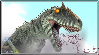 PERFECT TAMING A MAX LEVEL CARCHARODONTOSAURUS | ARK Caballus [Episode 84]