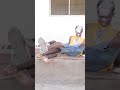 Funny Video Ep 222 Funny Shorts Funnyvideos Funny Video Ep 222 Funny Shorts Funnyvideos