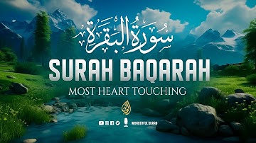 Surah Al-Baqarah سورة البقرة Full Emotional Voice That Will Deeply Touch the Soul | WonderfulQuran
