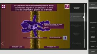 Interactive Case Membrane Potential | Cogent Education