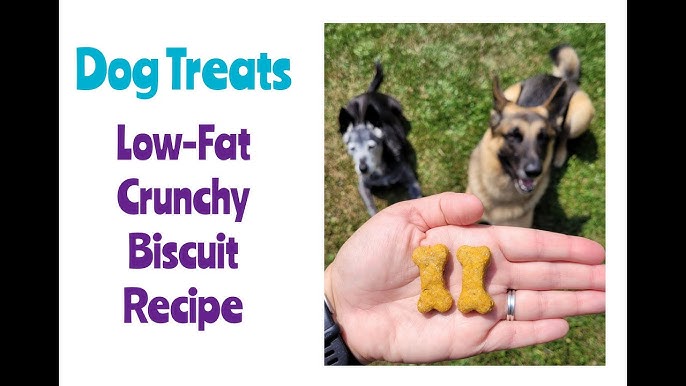 DASH Mini Dog Treat Maker Review 🦴 