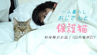 猫と寝てたら思い出しました。高２の初体験を…｜ブラッシング棚の100均DIY｜シーリングスタンプ｜保護猫6歳｜#15