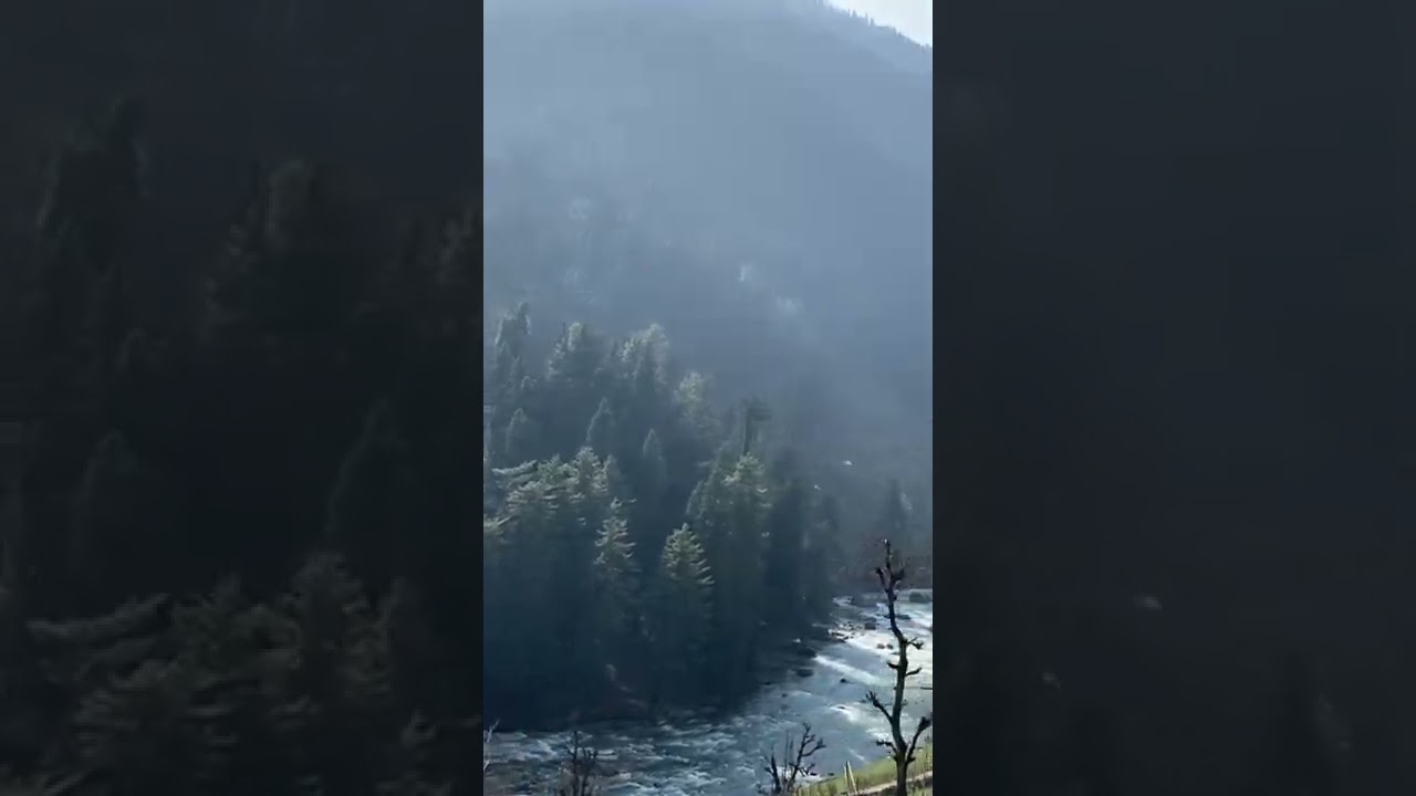 Lidder river valley in Kashmir 💙💙💙