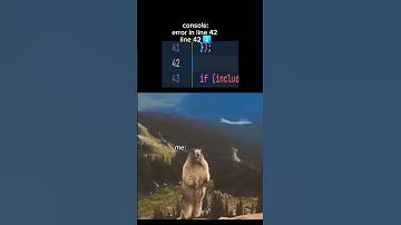 Memes | bear 🐻 | coding error #funny #coding #app #uiux #meme #comedy #daily