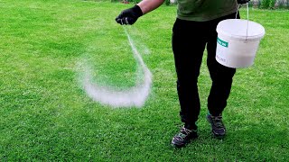 Get Rid of Crabgrass & Clover in the Lawn! Organic Solution!