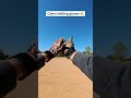 Unbox Epic Duck Camo Batting Gloves - Must See! #BaseballGear #BattingGloves