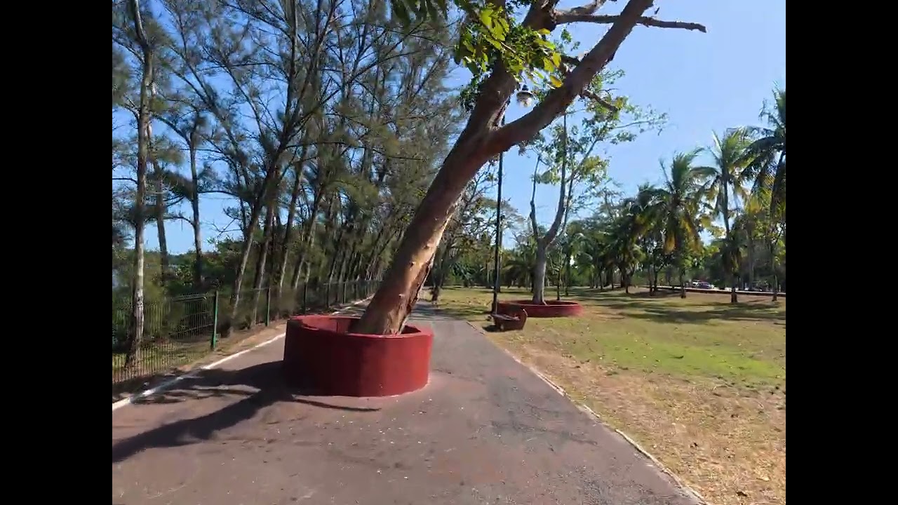 Relax Caminata en Laguna del Carpintero Tampico