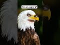 I’m an Eagle #animation #funny #memes #meme #foryou #duet