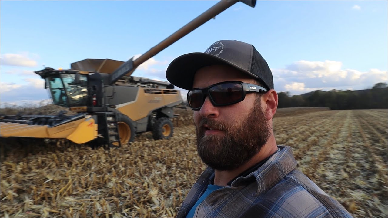 Boss Man Down Day 29 Youtube