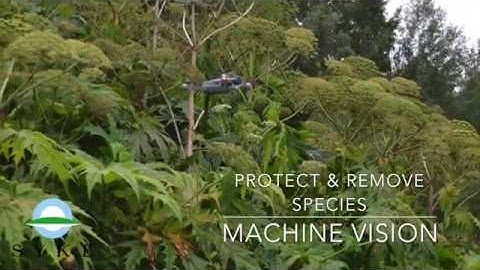 Machine vision in environment monitoring / Konenäkö luontokartoituksissa