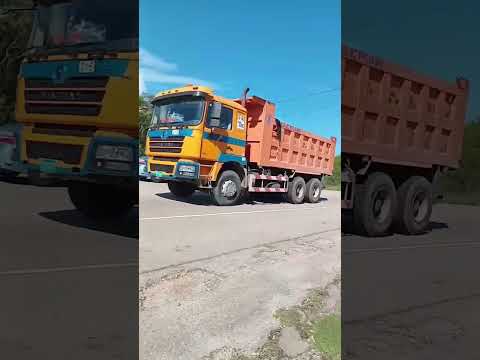 Trucks from the North side #truck #trucking #jamaica #viral