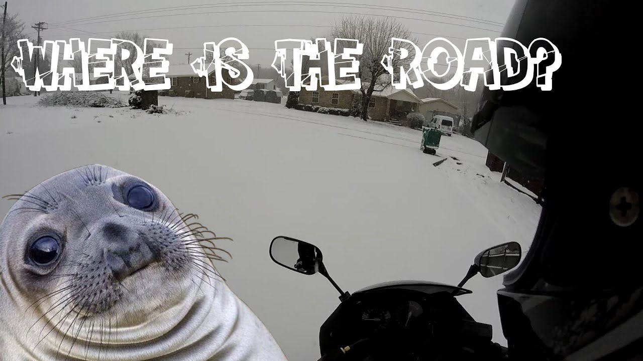 Squid Rider Motorcycle Motorcycle Ride in the Snow w/ Squid Rider! (Be back next season ...