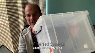 How to Grow: Emersed Aquarium Plants using a Misting System