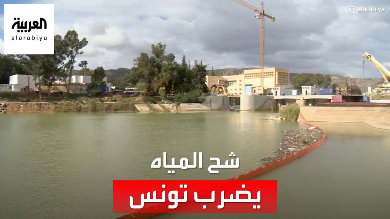 أزمة شح مياه تضرب تونس.. وتحذيرات من عطش قادم
 - نشر قبل 25 دقيقة