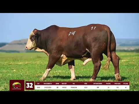 LOTE 32   CERRO VERDE D048