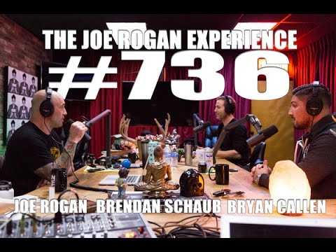 Joe Rogan Experience #736 - Brendan Schaub & Bryan Callen