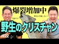 急増中『野生のクリスチャン』とは何か。日本キリスト教の新ムーブメント？ #122