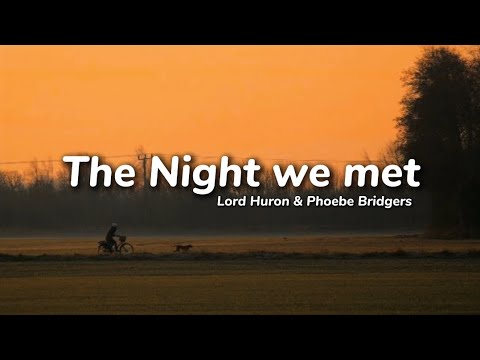 The Night We