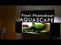 Final Photo Shoot Setting Up for Aquascaping Contest | Sharing My IAPLC 2020 Photoshoot