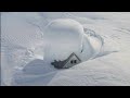 جبال من الثلوج تدفن المنازل والشوارع في نيغاتا ، اليابان