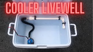 DIY Cooler Livewell