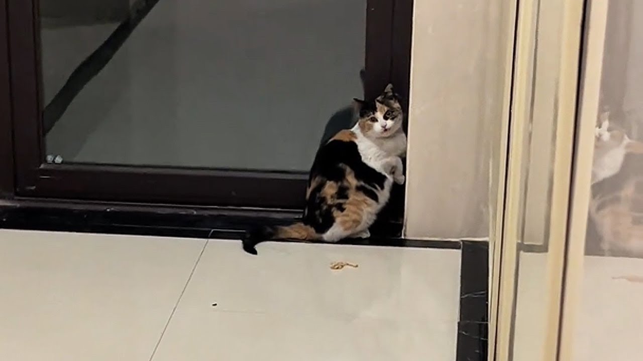 Прости... Наверное, мне не стоило забирать тебя домой.